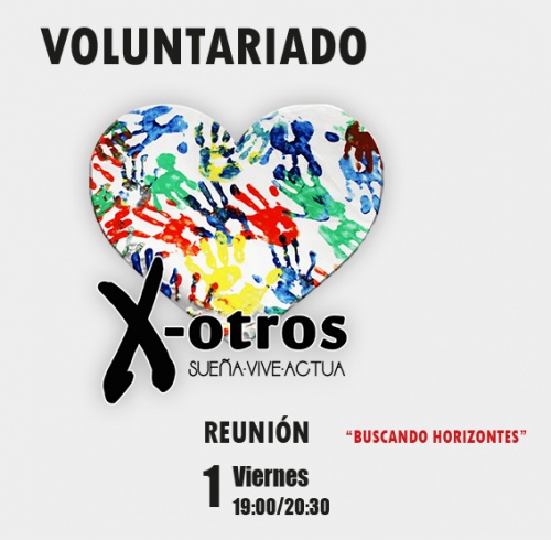 Voluntariado: Reunión