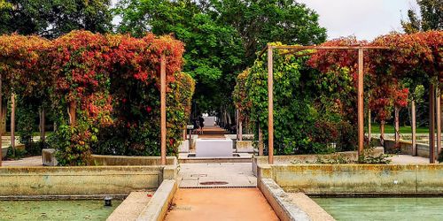 VISITA GUIADA AL JARDÍN DE POLIFILO-Valencia