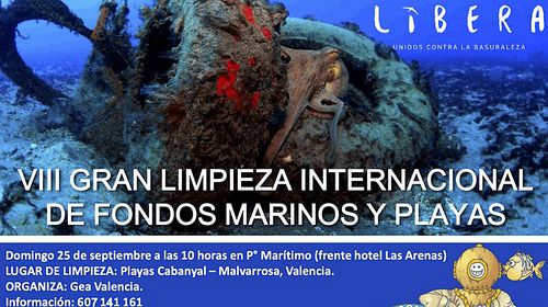 Voluntariado: VIII Gran Limpieza Internacional De Fondos Marinos Y Playas