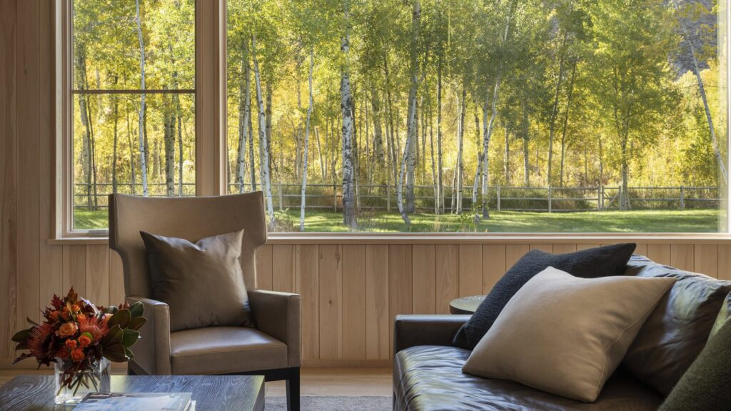 La importancia de la Limpieza