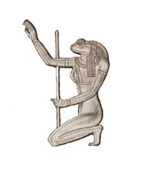 Heqet – Voluntariado por la naturaleza